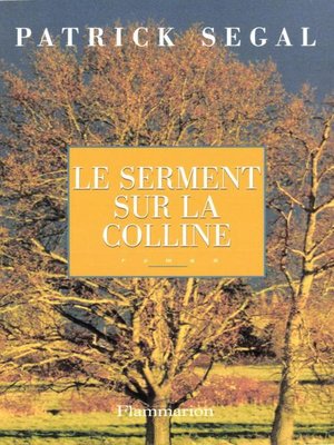 cover image of Le serment sur la colline